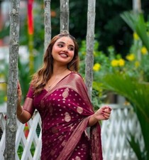 Saree Ethnique Traditionnel