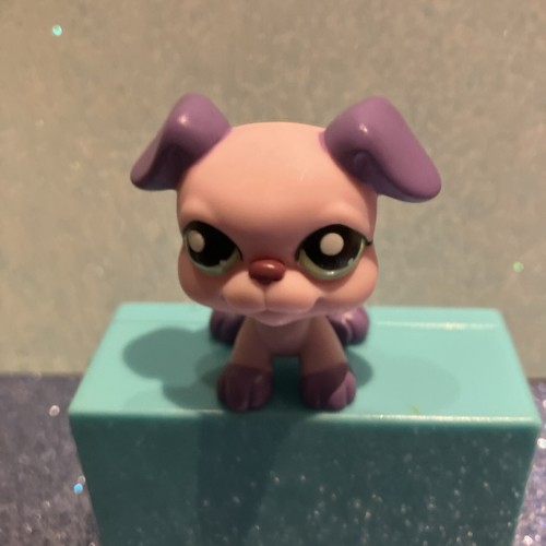 Petshop authentique chiot - authentique,