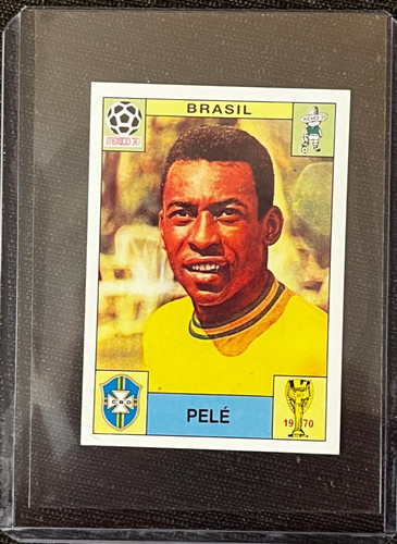 Panini world cup - cup, sonric