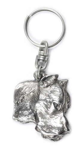 Dogue argentin dogo - dogue,