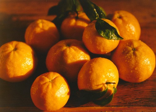 Satsuma mandarins lb - 4,
