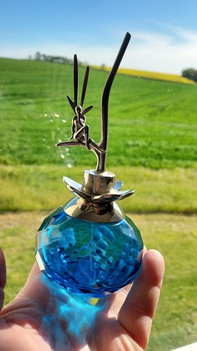 Flacon vide féerie - féerie, van