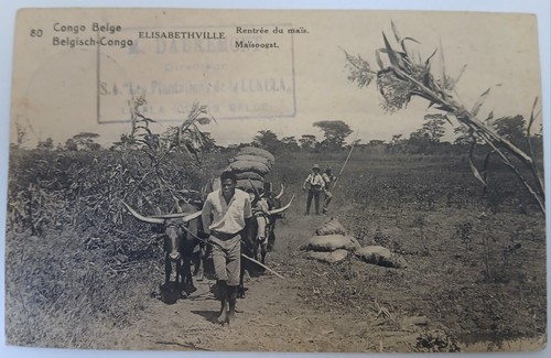 Carte postale ancienne congo - carte,