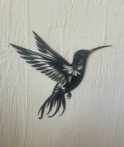 Grand colibri ailes - colibri,
