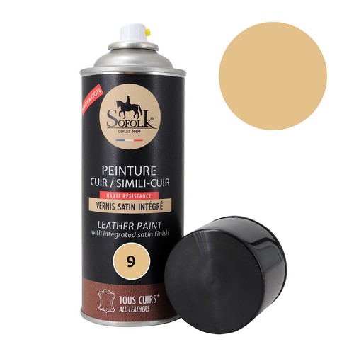 Peinture cuir canapé - canapé,, siège