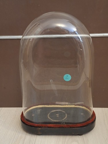 Ancien globe cloche - ancien,