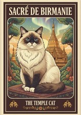Affiche Poster Chat Sacré De