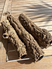 Décoration Terrarium plat en