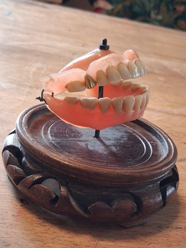 Cabinet curiosité dentier - de,