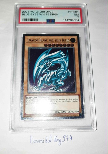 Dragon blanc aux - dragon,