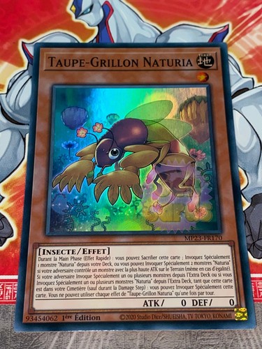 Carte taupe grillon - gi, oh