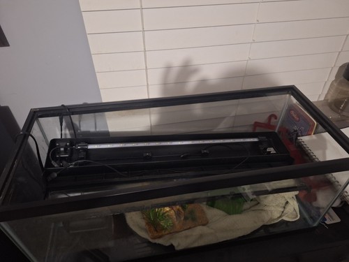 Fish tank aquarium - tank,