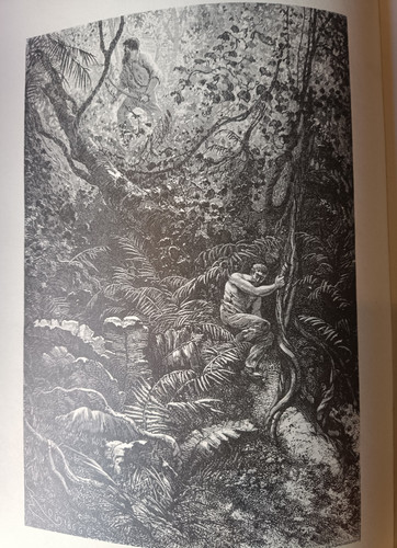 Bouyer guyane française - guyane,