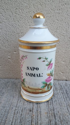 Sapo animal old - sapo,