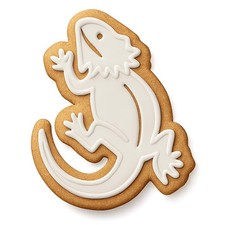 Climbing Pogona Bearded Dragon