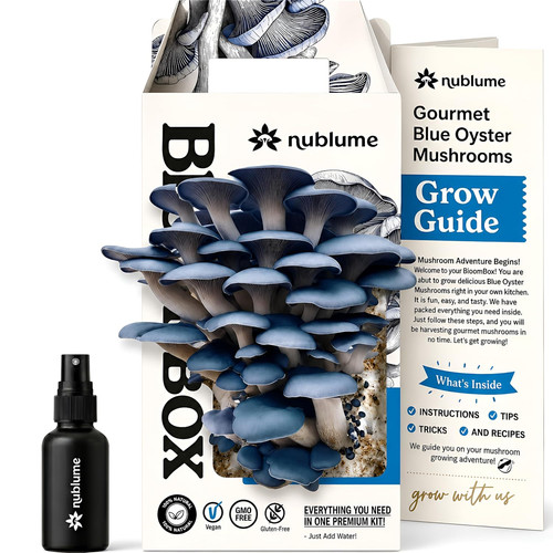 Bloombox blue oyster mushroom - blue,