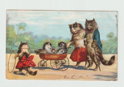 Chats humanisés maurice - humanisés, .