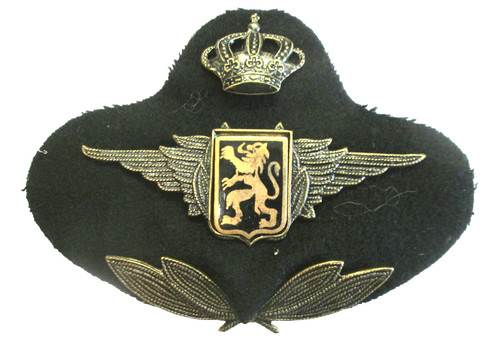 Force aerienne belge superbe - belge,