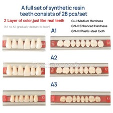 28Pcs/Set A1 A2 A3 Shade Dental Full Mouth 2-Layer Synthetic Resin Teeth Denture