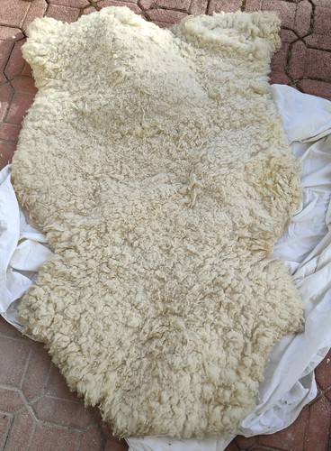 Peau mouton véritable - véritable,