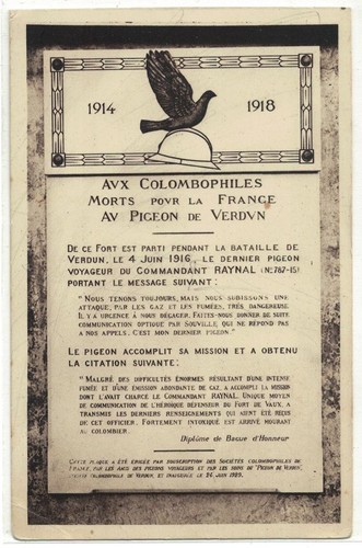 Militaria aux colombophiles - -,