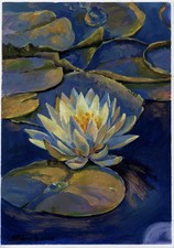 jolie fleur de lotus dans