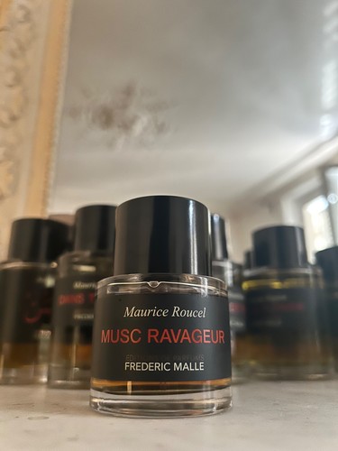 Musc ravageur 2020 - musc, pré