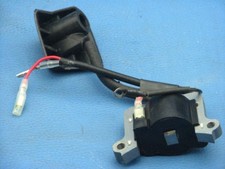 Bobine D'Allumage Pour Einhell