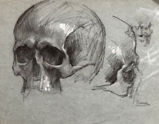 C29/24-ORIGINAL DRAWING-PENCIL-DUSAIN-CHALK-HUMAN SKULL-GUSTAVE SURAND-CIRCA 1910