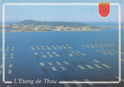 Sete etang de thau - sete,