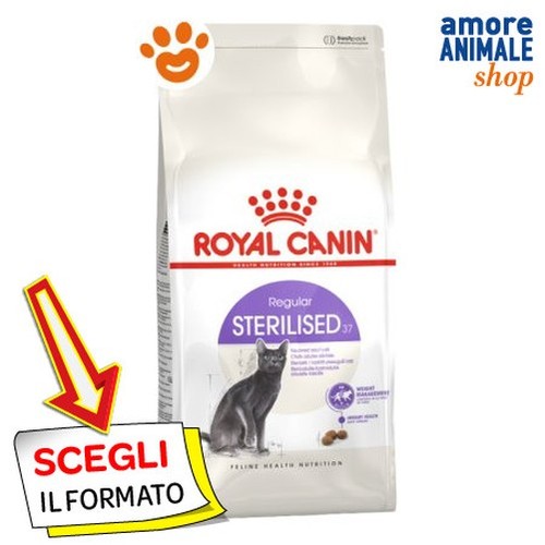 Royal canin chat régulier - royal,