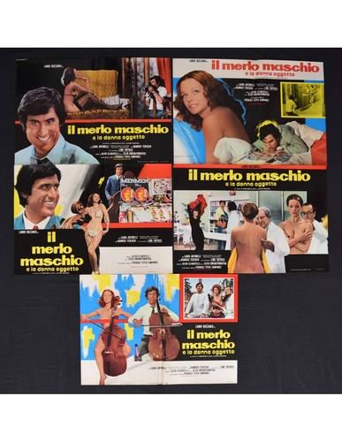 Affiche photo merlo - photo, il