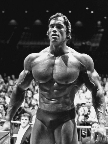 Arnold schwarzenegger - arnold,