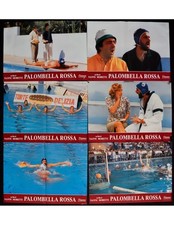 Photobustes PALOMBELLA ROSSA