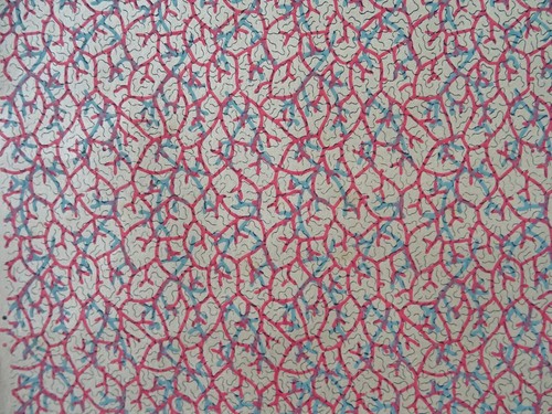Papier peint ancien décor - papier,