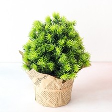 Plante d'herbe en soie