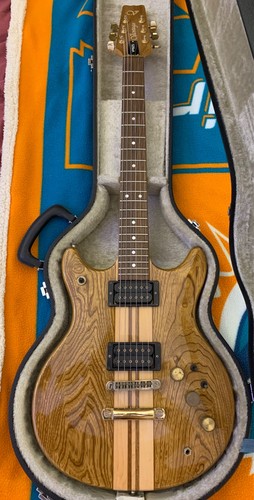 Vantage electric guitar - guitar, vp825
