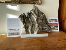 Huge Original WW2 Relic Luftwaffe Bf109 Aircraft Fuselage Part Siege Of Malta 42