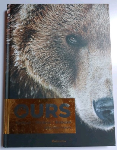 Livre ours portrait - ours.,
