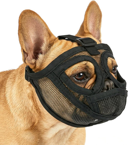 Muselière pour chiens - muselière,