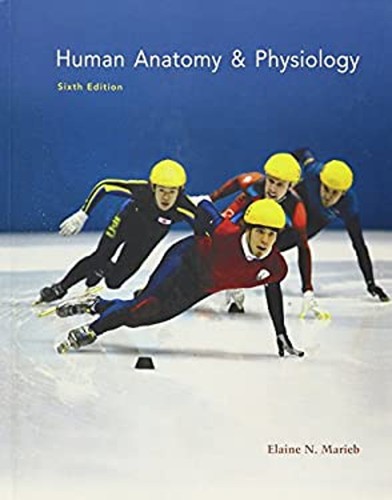 Anatomie humaine - anatomie,
