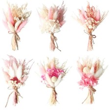 Fleurs Séchées,6 Pièces