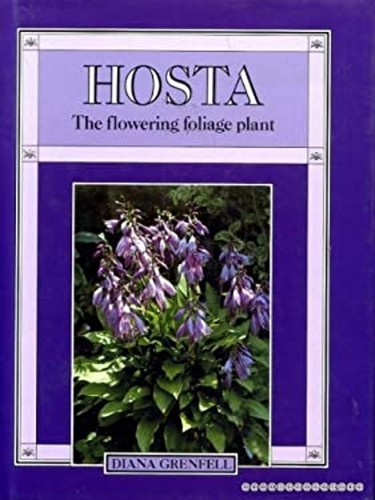 Hosta plante à - :, feuillage