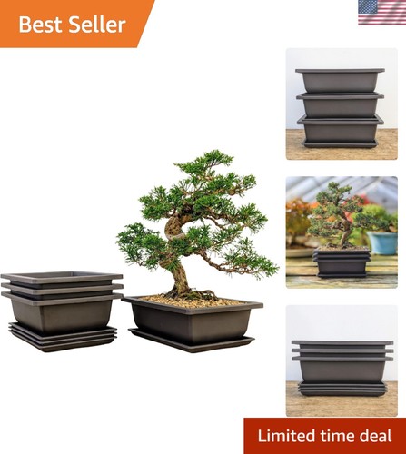 Set inch brown - of,