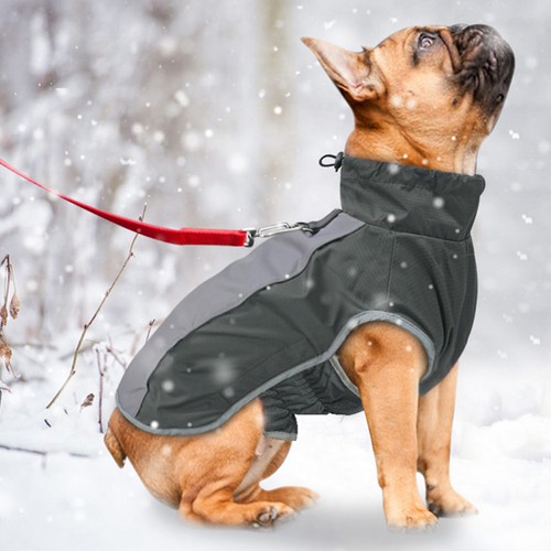 Chien manteau hiver manteaux - chien,