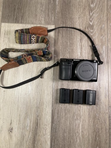 Sony nex shutter count - 24.3,