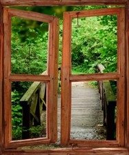 Stickers Fenêtre trompe