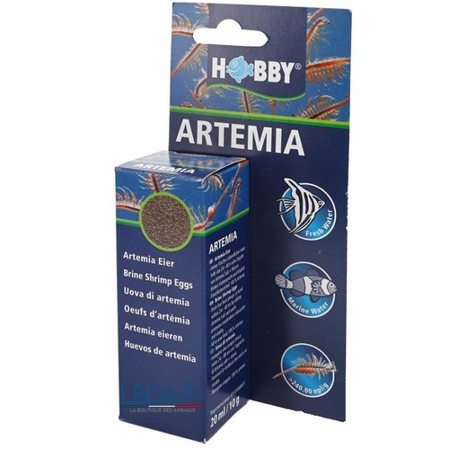 Hobby oeufs artemias - hobby,