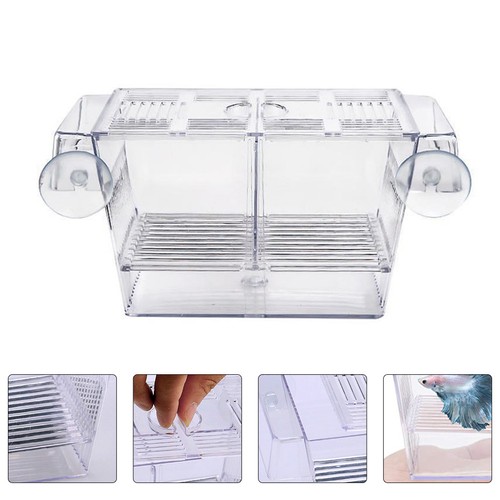 Aquarium boite elevage poisson - aquarium,