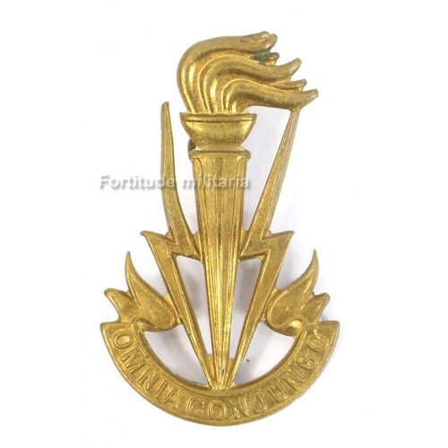 Insigne belge coiffure - insigne, de